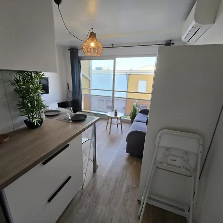 Bel Renove 4 Personnes Avec Clim Les Palmiers 公寓