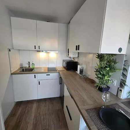 Bel Renove 4 Personnes Avec Clim Les Palmiers
