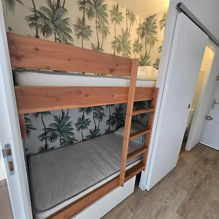 公寓 Bel Renove 4 Personnes Avec Clim Les Palmiers
