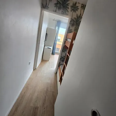 Bel Renove 4 Personnes Avec Clim Les Palmiers 公寓 帕拉瓦莱弗洛